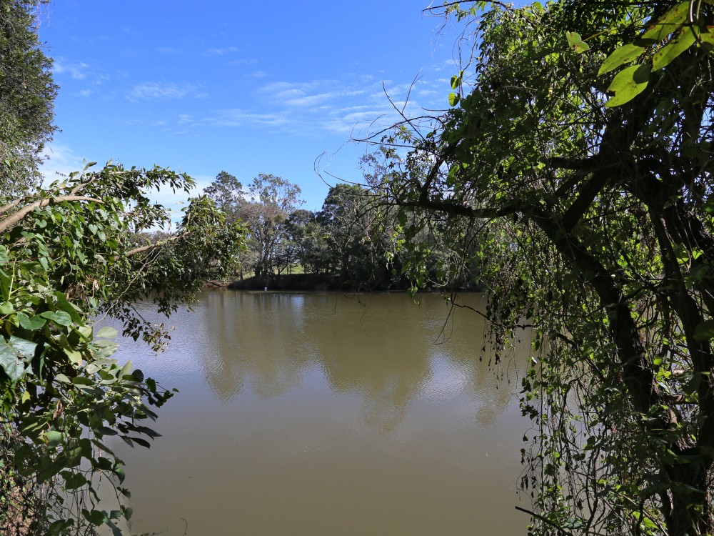 Wyrallah real estate Sold