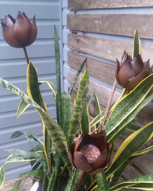 Goonellabah Properties For Sale