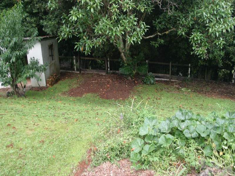 Real Estate in Whian Whian