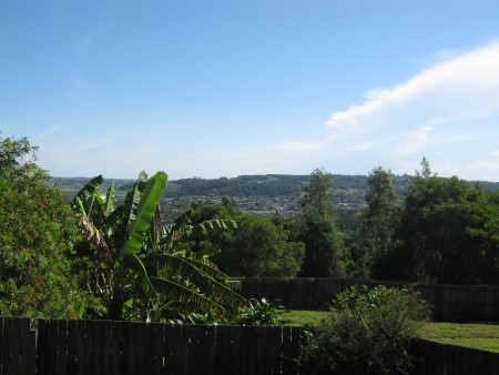 Real Estate in Lismore Heights