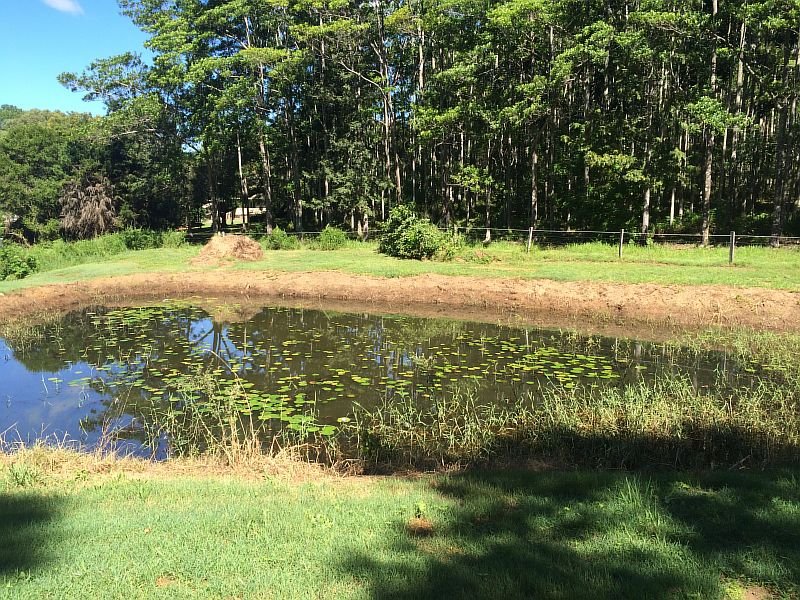 Real Estate in Palmwoods