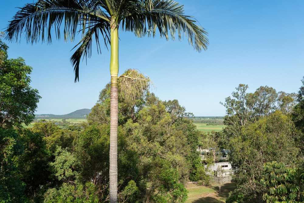 Maroochy River Properties Sold
