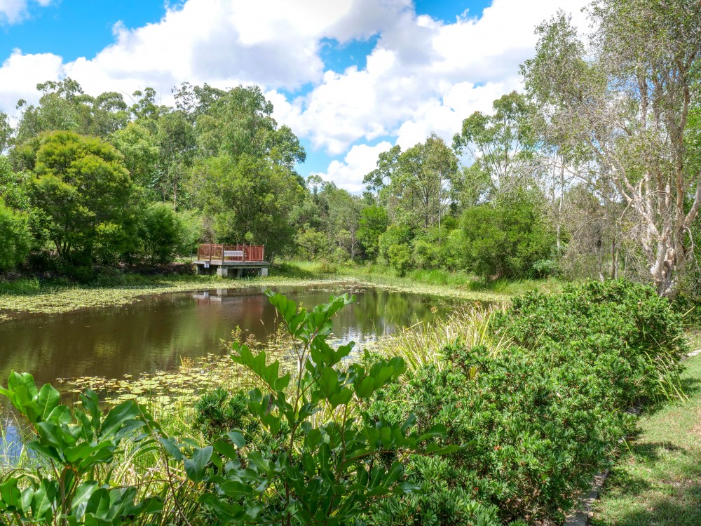 Real Estate in Beerwah