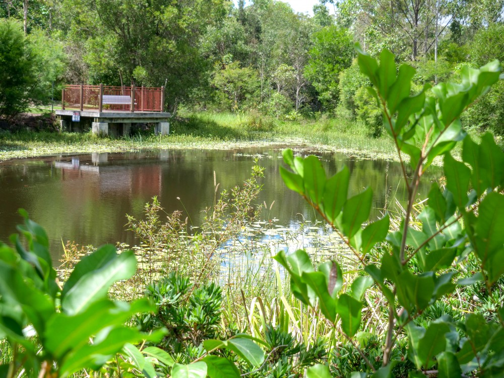 Real Estate in Beerwah