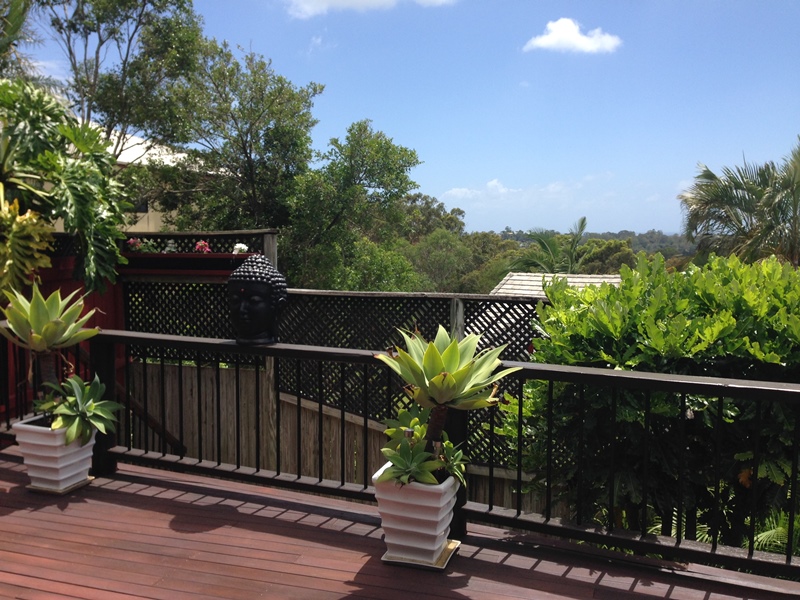 Buderim Properties Leased