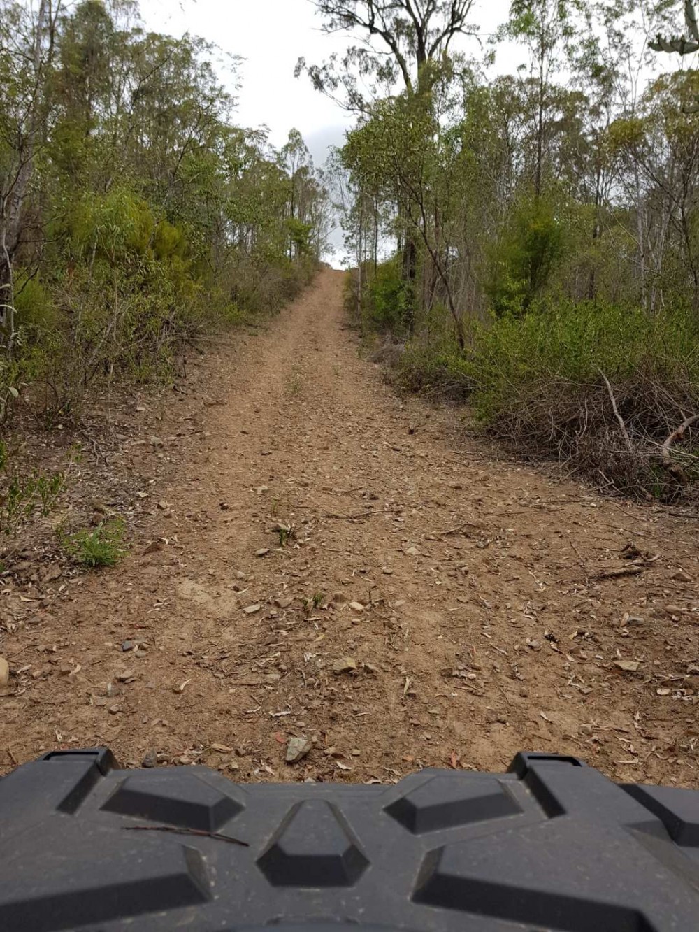 Real Estate in Mount Binga