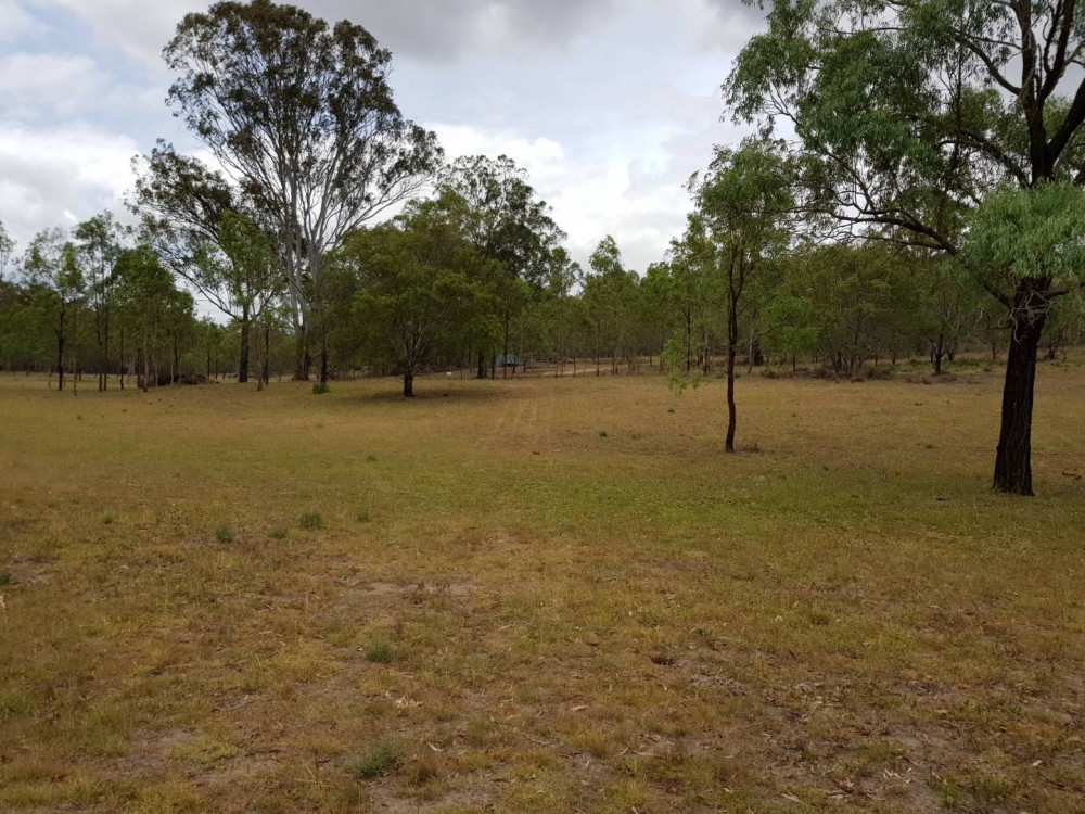 Real Estate in Mount Binga