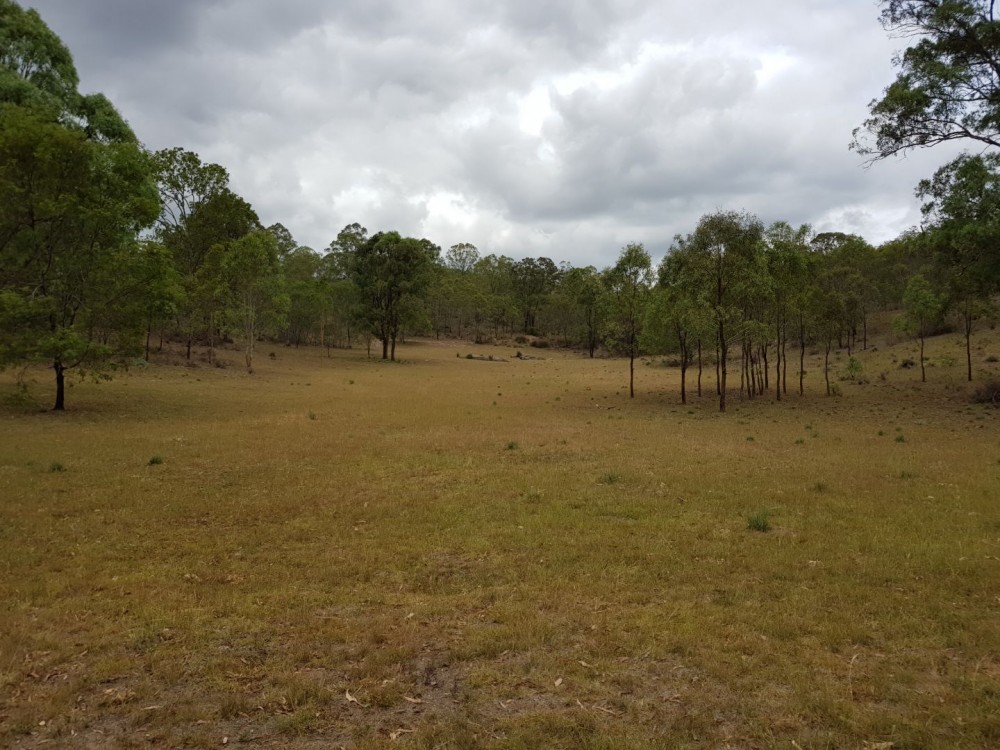 Open for inspection in Mount Binga