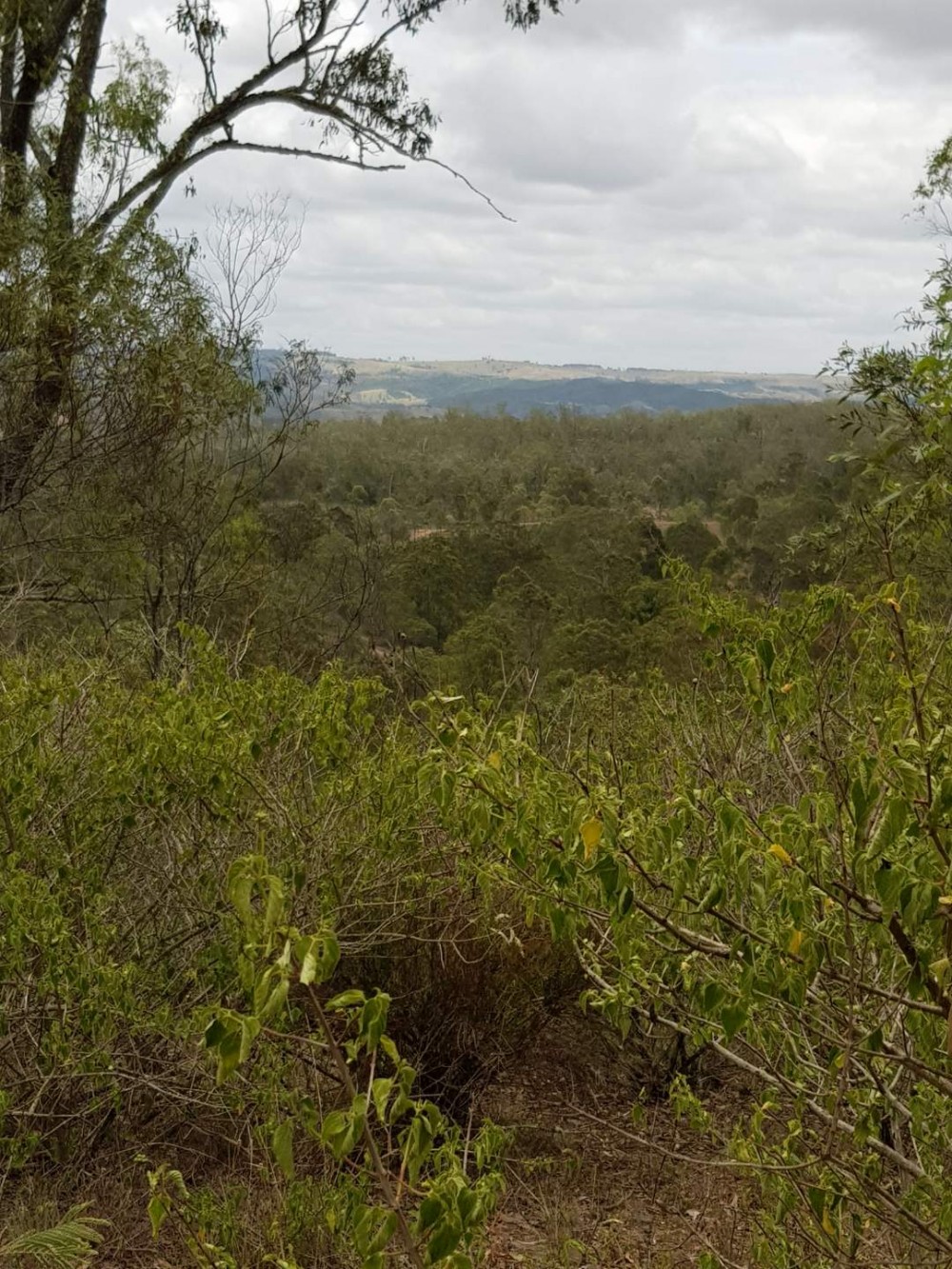 Real Estate in Mount Binga