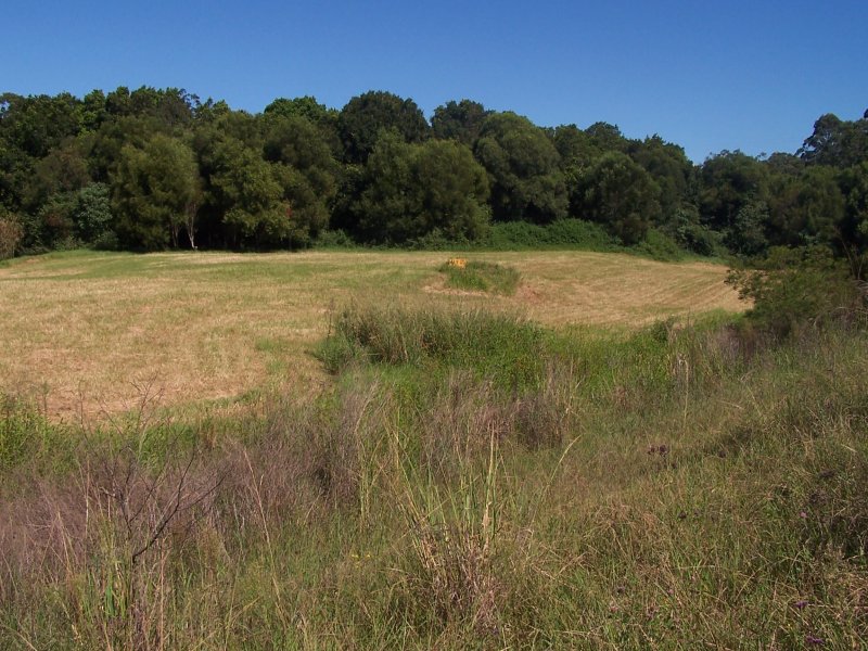 Nabiac Properties Sold