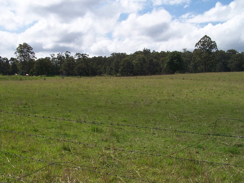 Nabiac Properties Sold