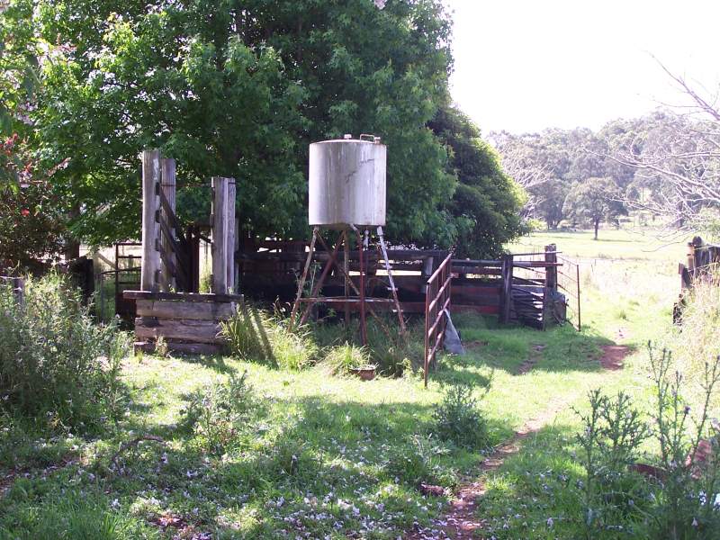 Nabiac real estate Sold