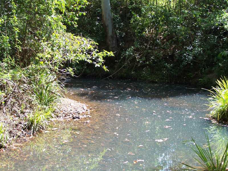 Open for inspection in Nabiac