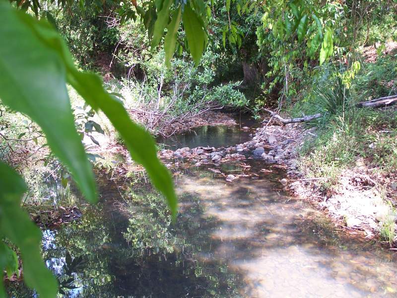 Selling your property in Nabiac