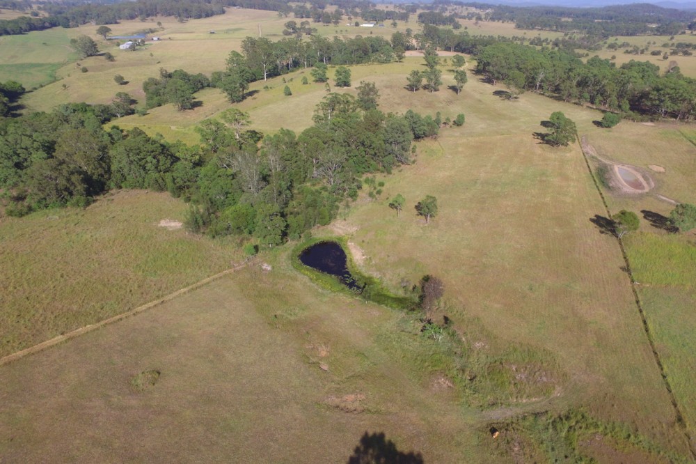 Real Estate in Nabiac
