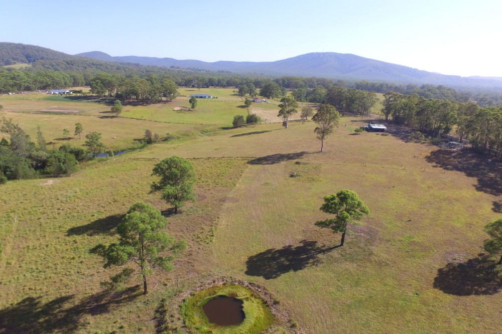 Real Estate in Nabiac