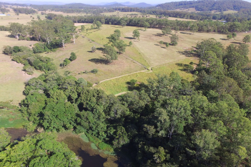 Real Estate in Nabiac