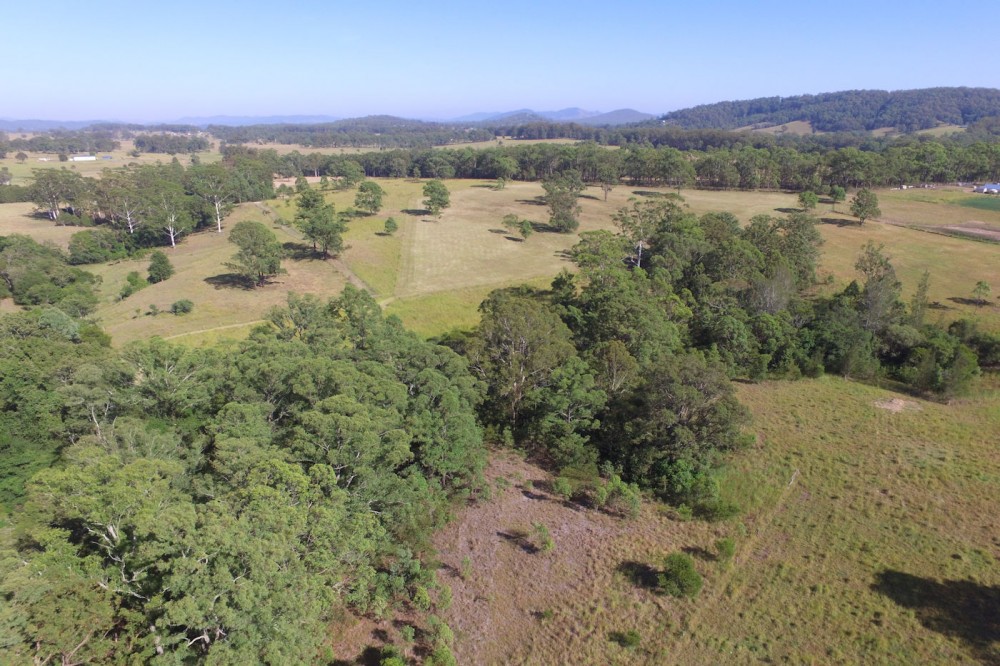 Real Estate in Nabiac