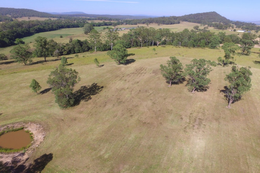 Real Estate in Nabiac