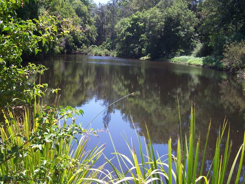 Property Sold in Nabiac