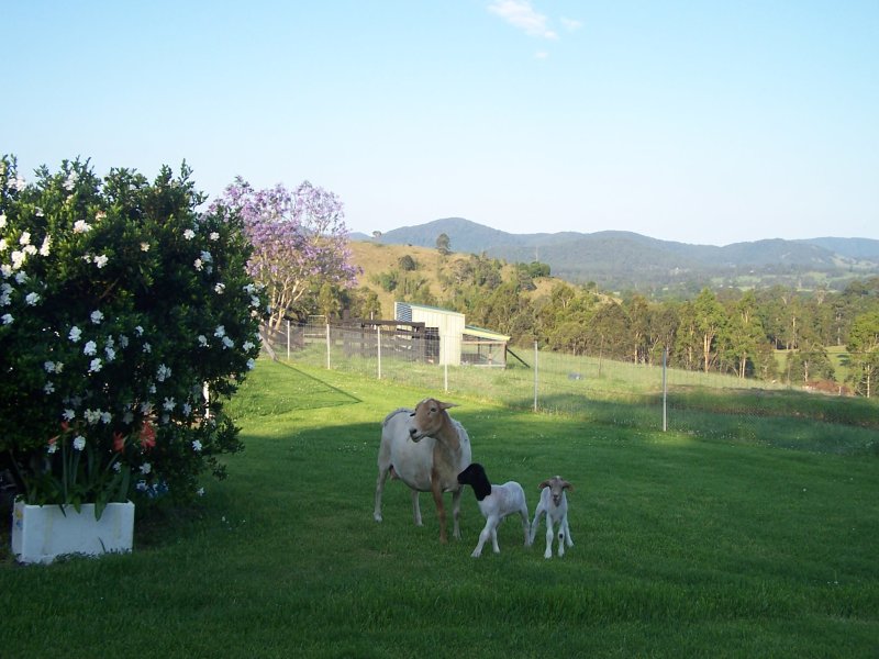 Krambach real estate Sold