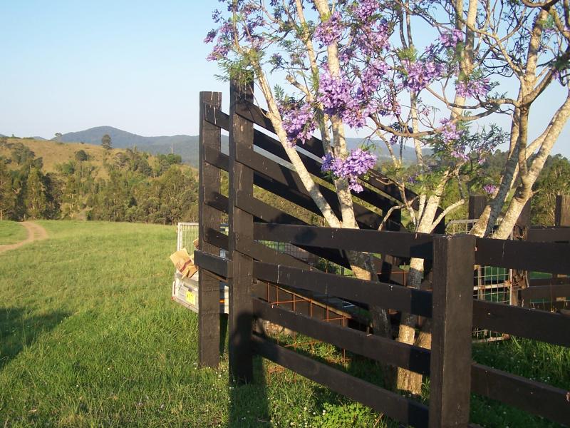 Open for inspection in Krambach