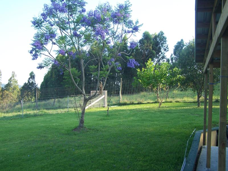 Selling your property in Krambach