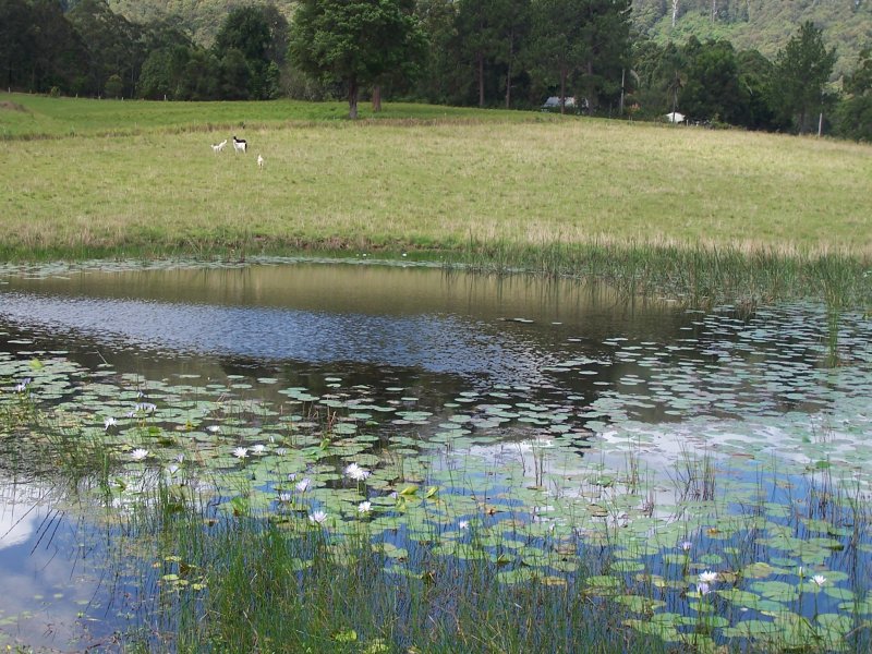 Nabiac Properties Sold