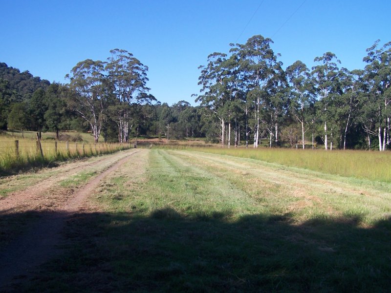 Real Estate in Nabiac