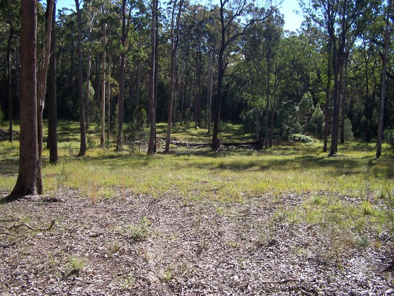 Property Sold in Coolongolook