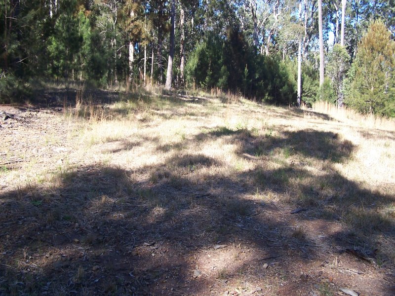 Real Estate in Coolongolook