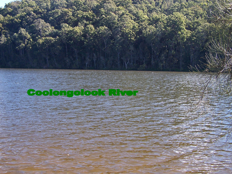 Open for inspection in Coolongolook