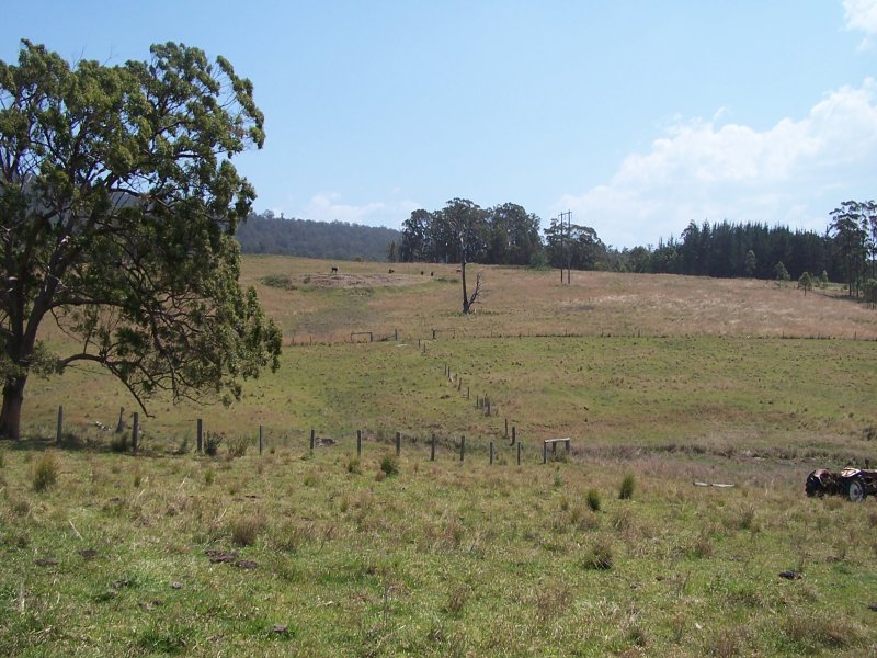 Coolongolook Properties Sold