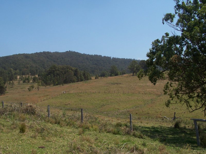 Real Estate in Coolongolook