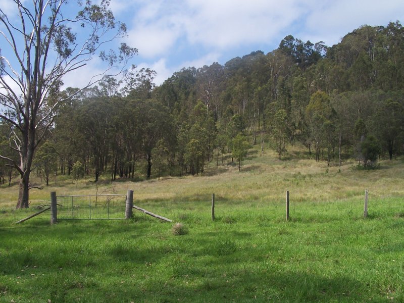 Real Estate in Nabiac