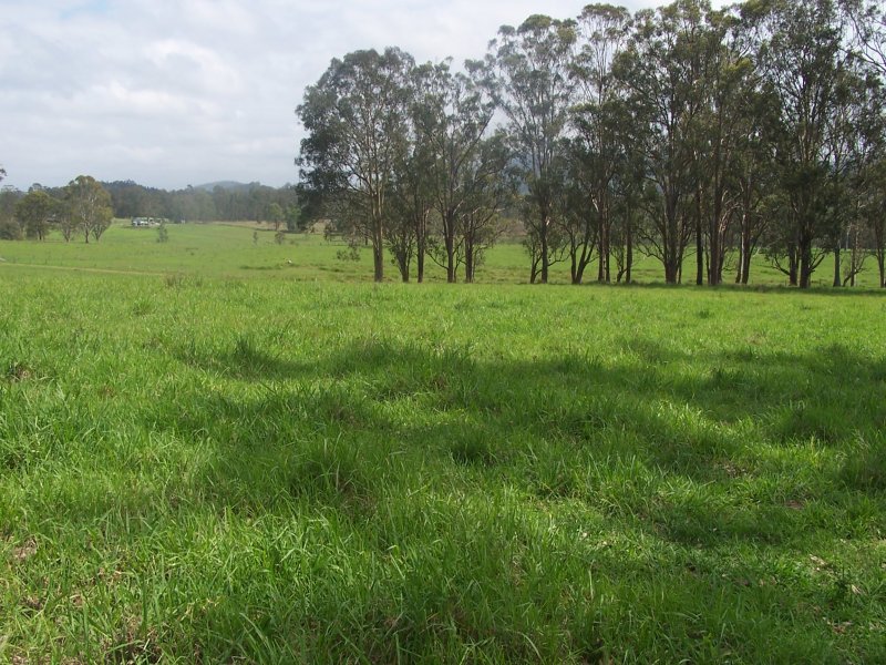 Selling your property in Nabiac