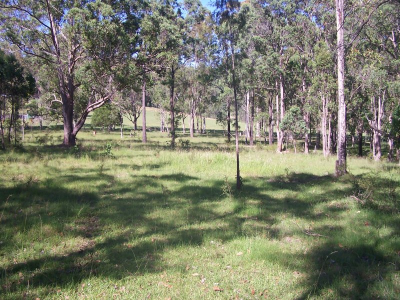 Real Estate in Firefly