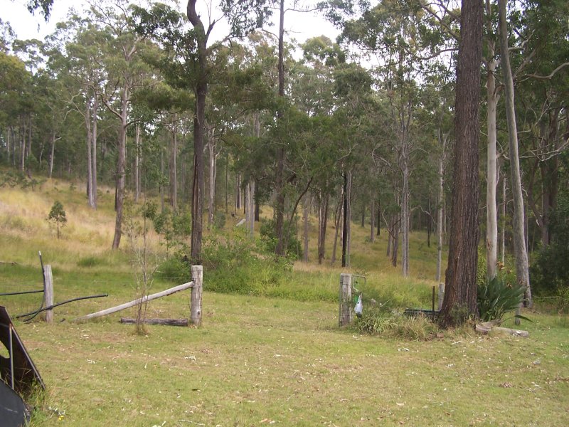 Real Estate in Nabiac