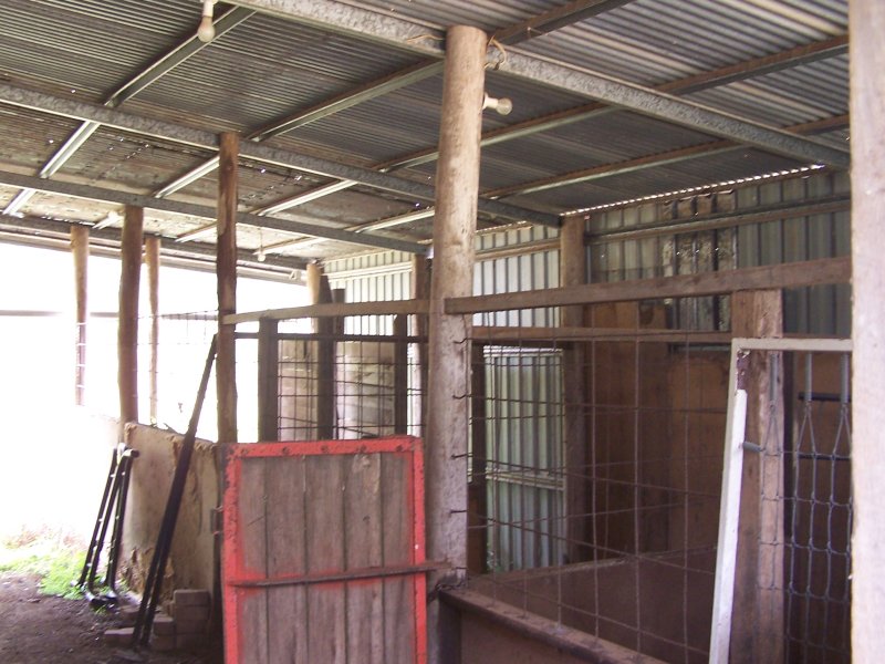 Real Estate in Nabiac