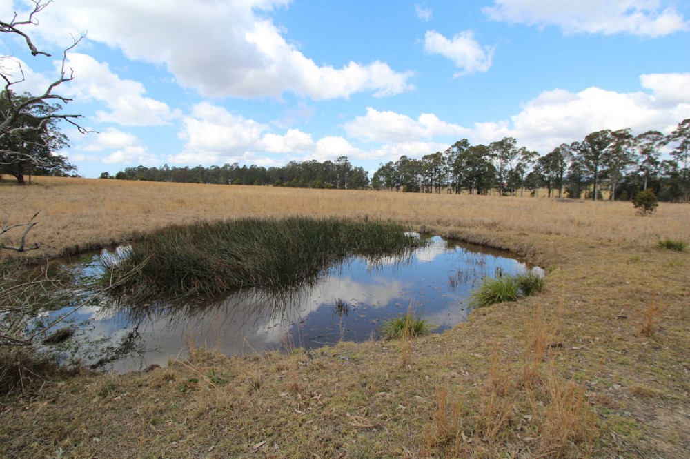 Real Estate in Dyers Crossing