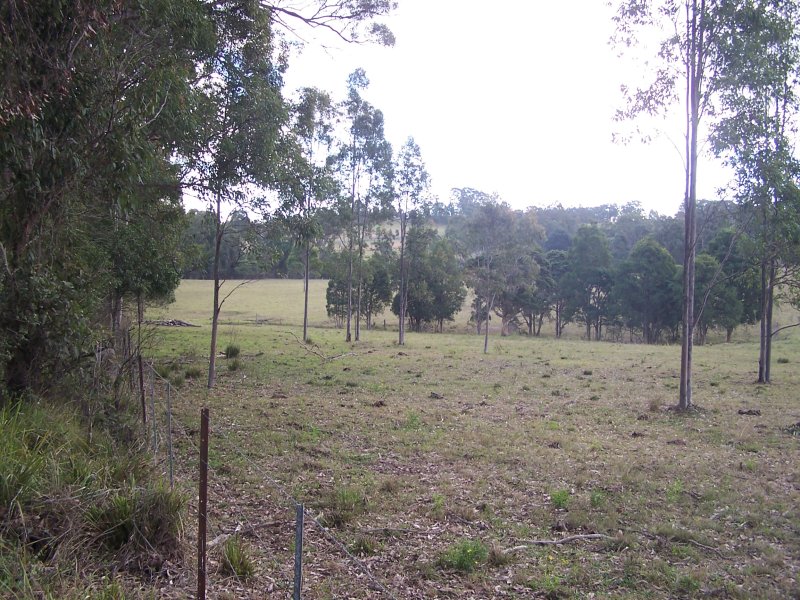 Real Estate in Dyers Crossing