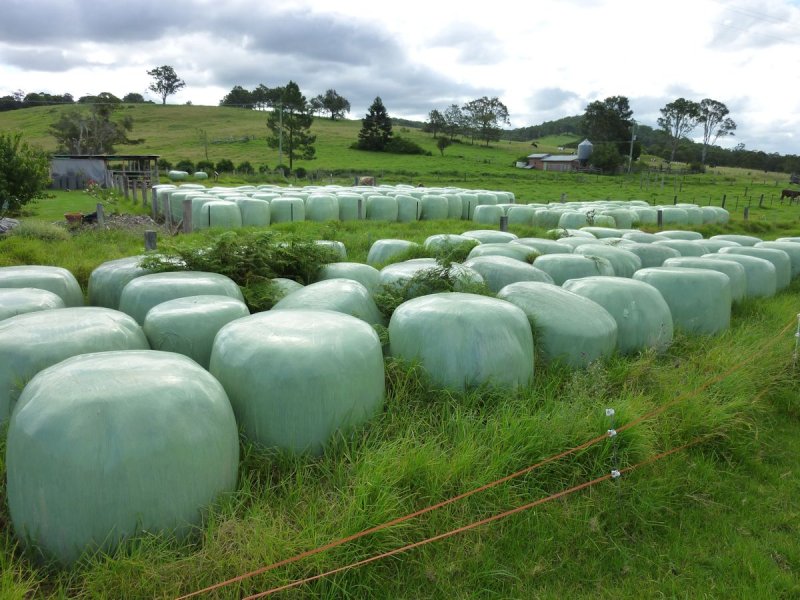 Real Estate in Firefly