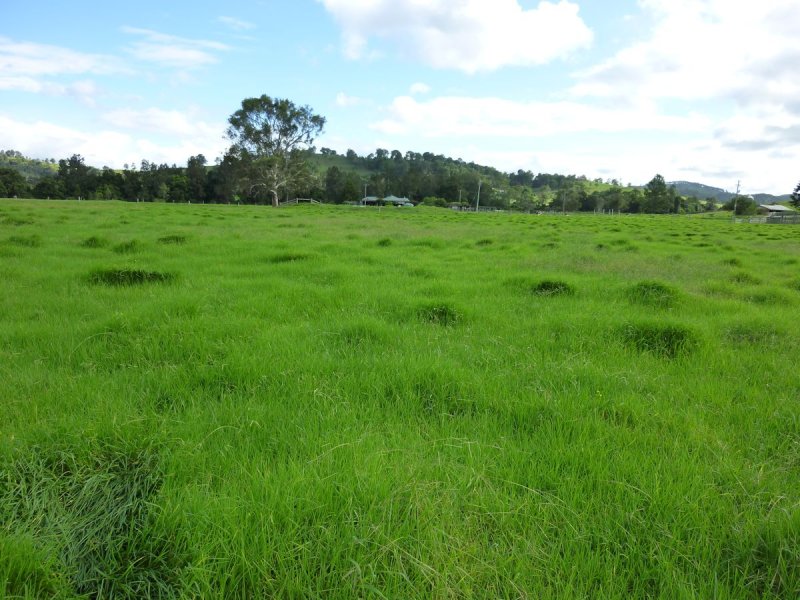 Real Estate in Firefly