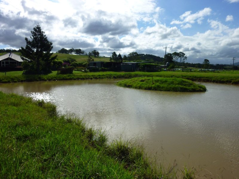 Real Estate in Firefly