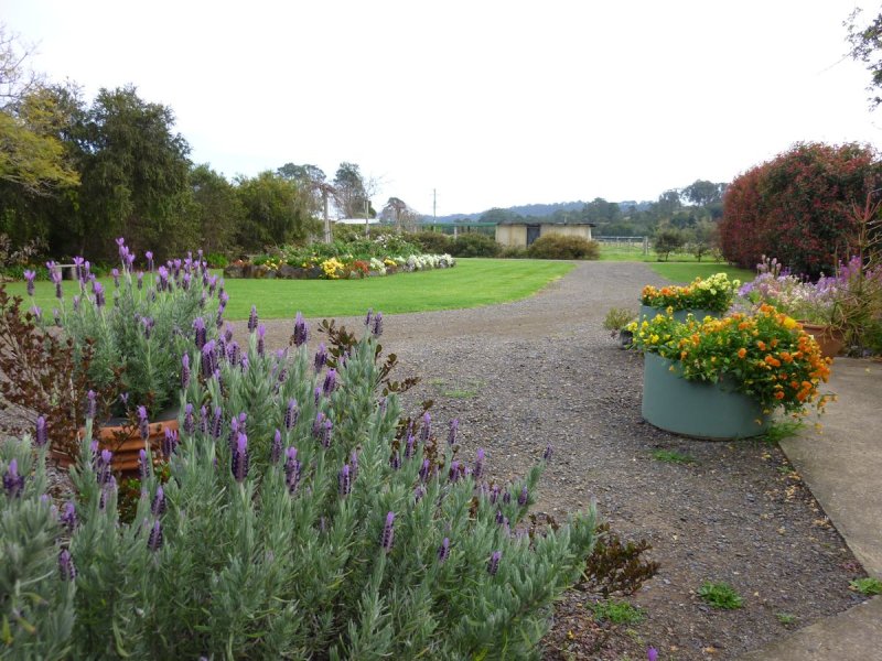 Real Estate in Firefly