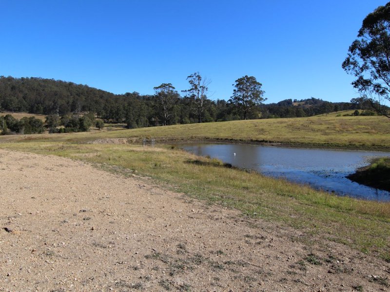 Real Estate in Firefly