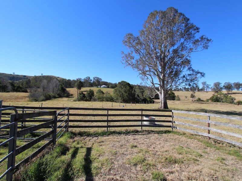 Real Estate in Firefly