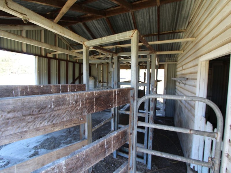 Real Estate in Firefly