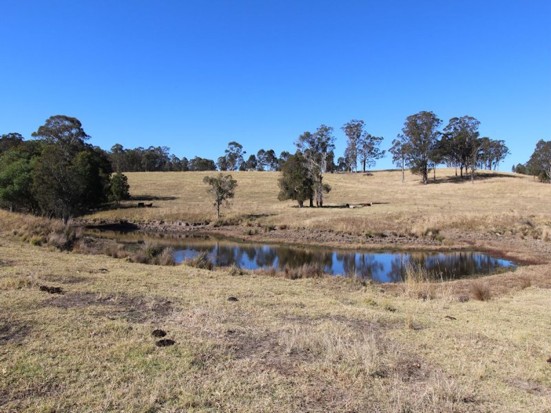 Real Estate in Firefly