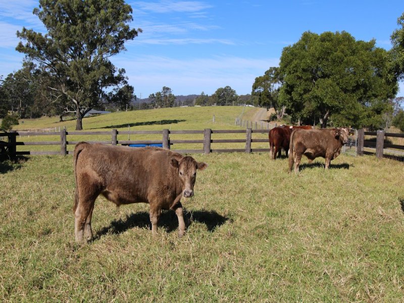 Real Estate in Dyers Crossing